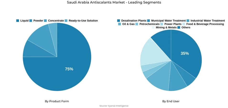 Pie chart showing Saudi Arabia antiscalants market segmentation by product form and end user
