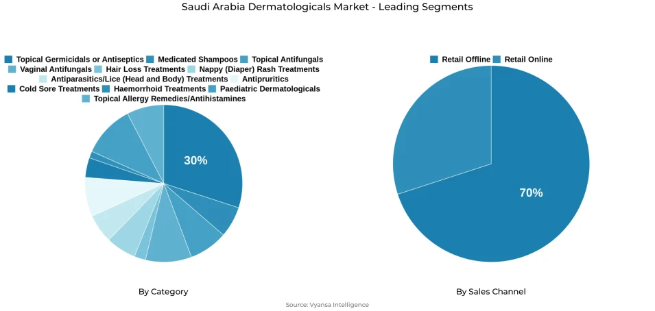 Saudi Arabia dermatologicals market segmentation overview Pie chart showing Saudi Arabia dermatologicals market segmentation by category and sales channel