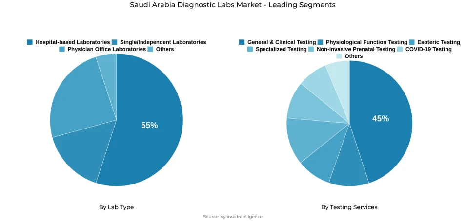 Saudi Arabia diagnostic labs market segmentation overview Pie chart showing Saudi Arabia diagnostic labs market segmentation by lab type and testing services