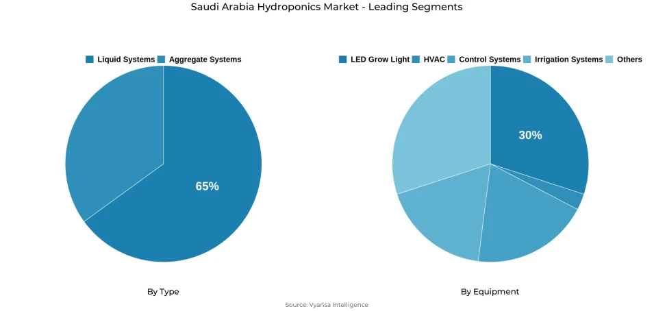 Saudi Arabia hydroponics market segmentation overview Pie chart showing Saudi Arabia hydroponics market segmentation by type and equipment