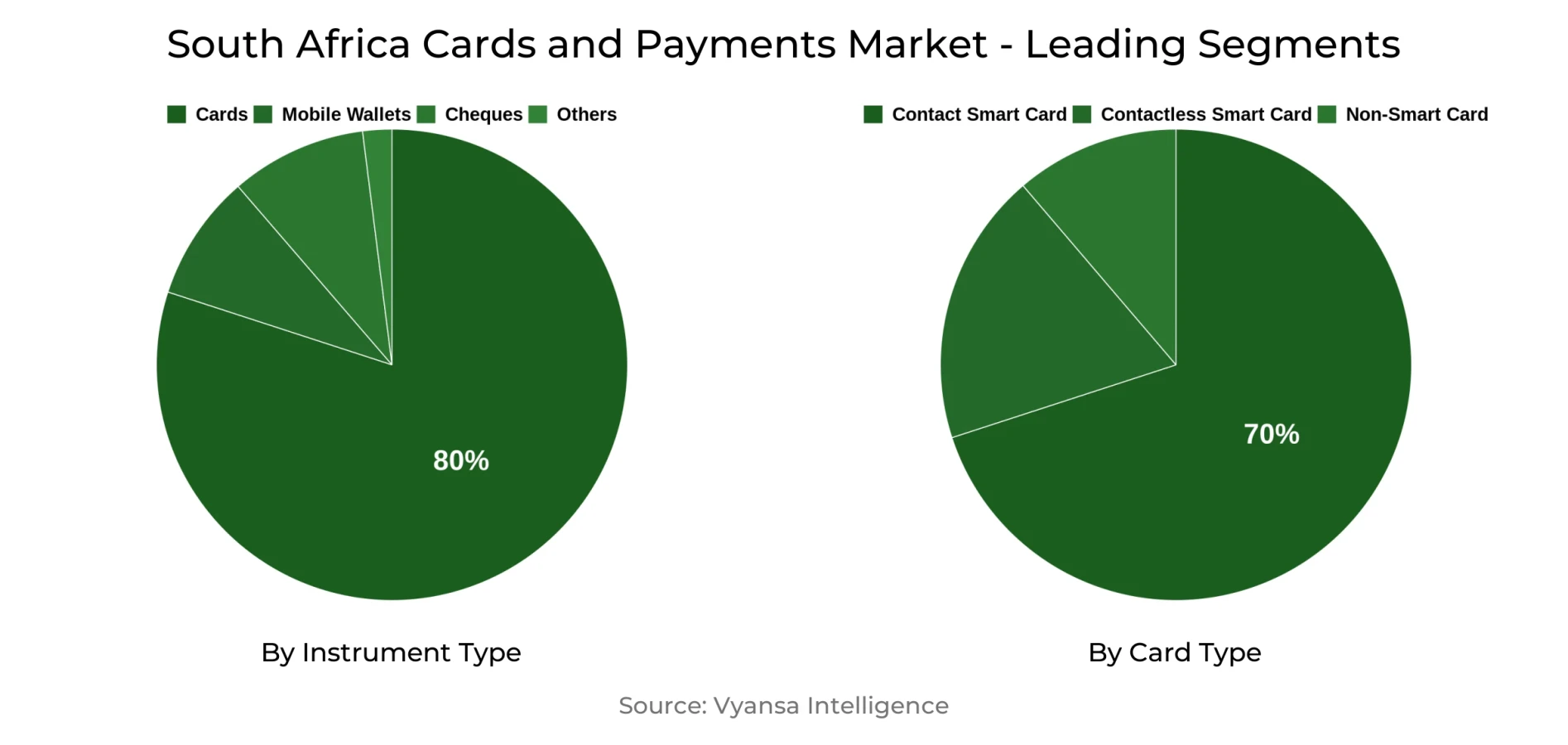 South Africa Cards and Payments Market Segment