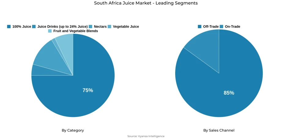 South Africa juice market segmentation overview Pie chart showing South Africa juice market segmentation by category and sales channel