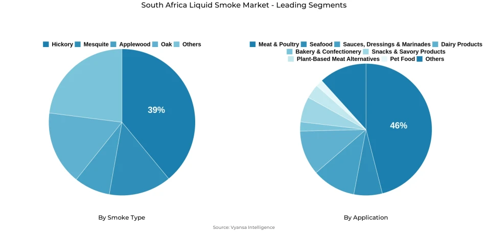 South Africa Liquid Smoke Market Segmentation Overview Pie chart showing south africa liquid smoke market segmentation