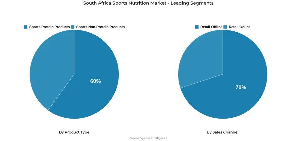South Africa sports nutrition market segmentation overview Pie chart showing South Africa sports nutrition market segmentation by product type and sales channel