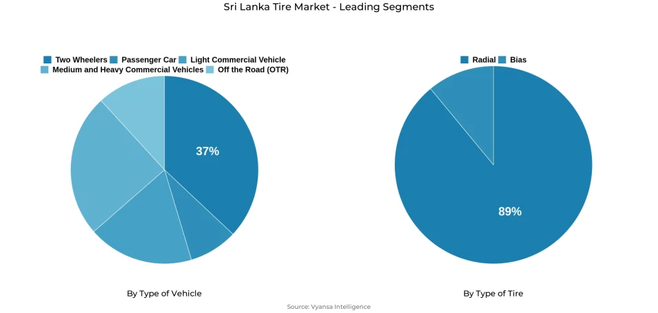 Pie chart showing sri lanka tire market segmentation