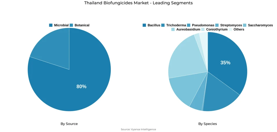 Thailand biofungicides market segmentation overview Pie chart showing Thailand biofungicides market segmentation by source and species