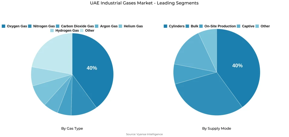 UAE industrial gases market segmentation overview Pie chart showing UAE industrial gases market segmentation by gas type and supply mode