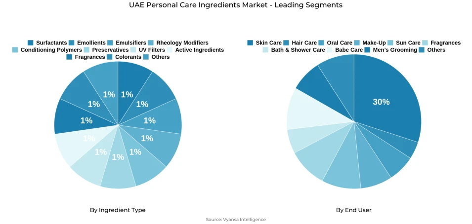 UAE personal care ingredients market segmentation overview Pie chart showing UAE personal care ingredients market segmentation by ingredient type and end user