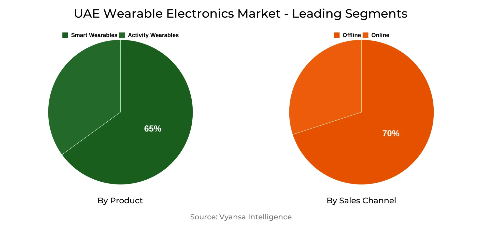 UAE Wearable Electronics Market Segment