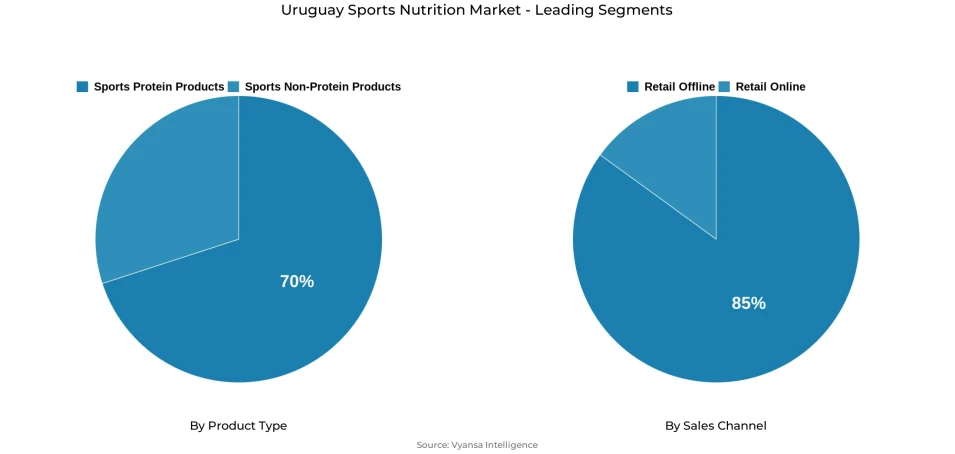 Pie chart showing Uruguay sports nutrition market segmentation by product type and sales channel
