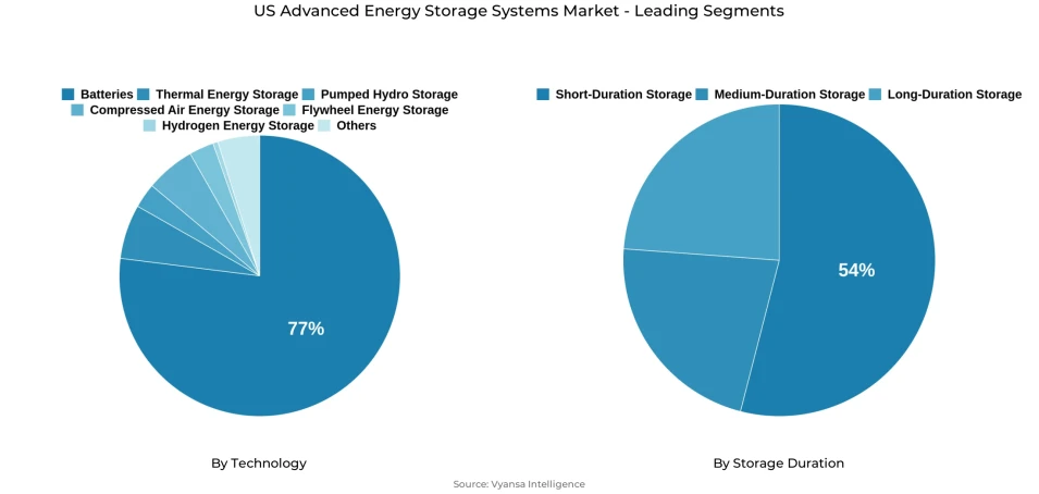 US Advanced Energy Storage Systems Market Segmentation Overview Pie chart showing us advanced energy storage systems market segmentation