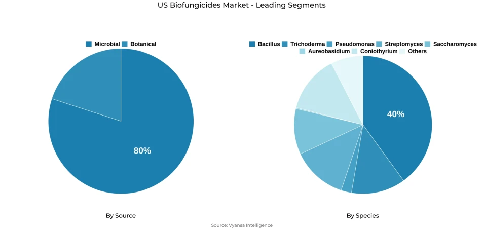 Pie chart showing US biofungicides market segmentation by source and species