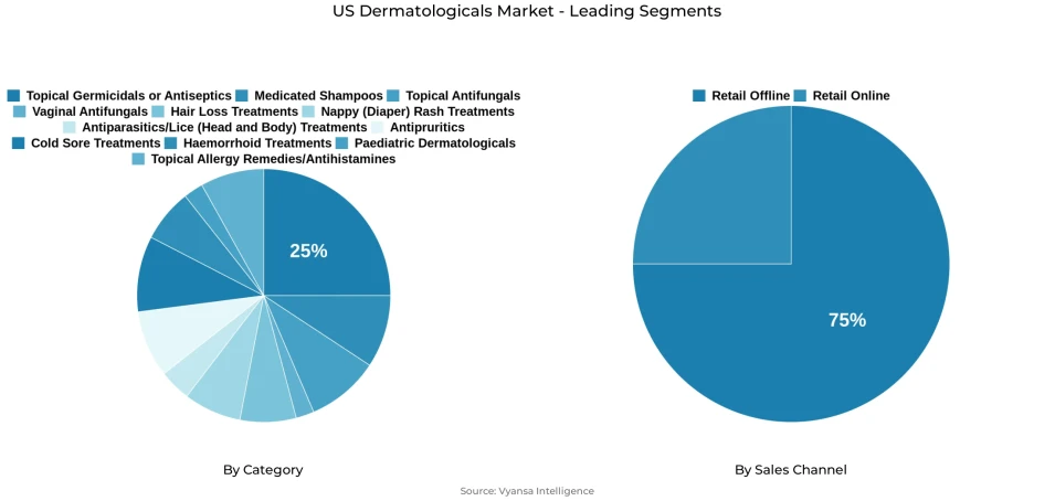 US dermatologicals market segmentation overview Pie chart showing US dermatologicals market segmentation by category and sales channel