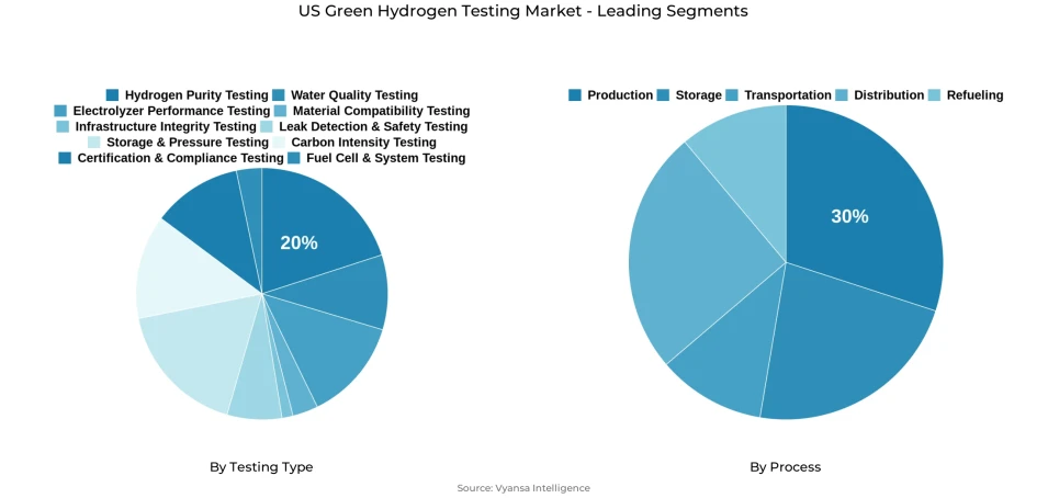 US green hydrogen testing market segmentation overview Pie chart showing US green hydrogen testing market segmentation by testing type and process