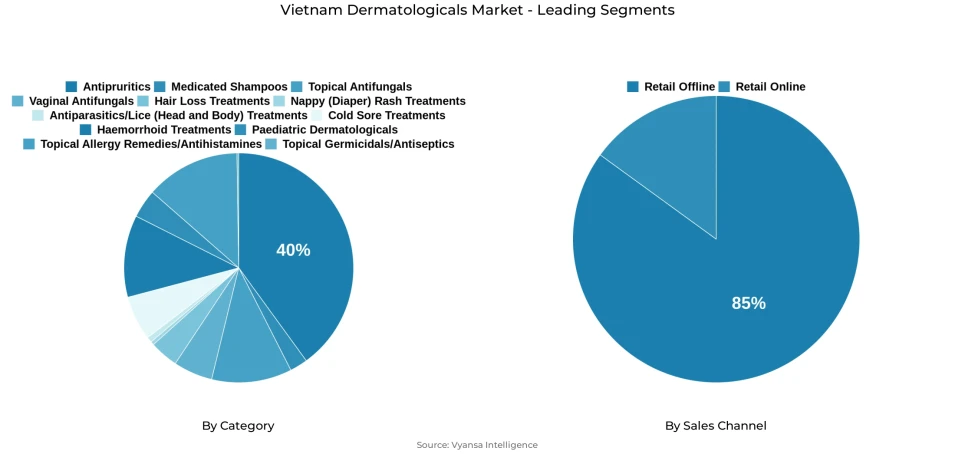 Vietnam dermatologicals market segmentation overview Pie chart showing Vietnam dermatologicals market segmentation by category and sales channel