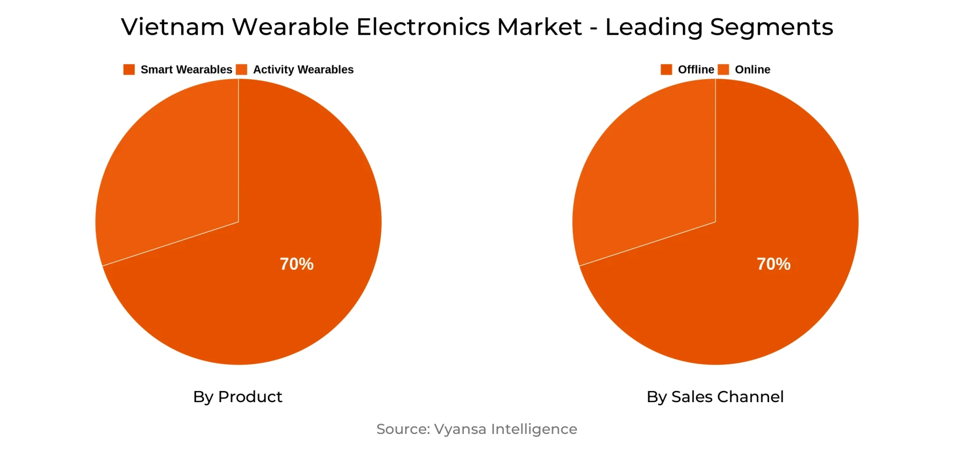 Vietnam Wearable Electronics Market Segment